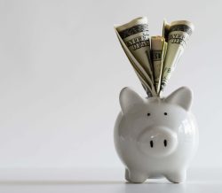 Money in a piggy bank