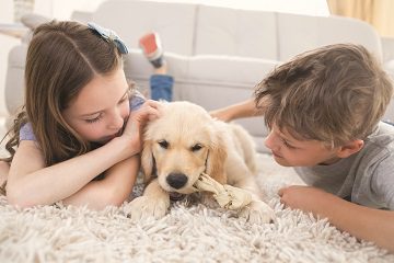Kids playing with puppy