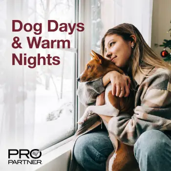 Dog Days & Warm Nights